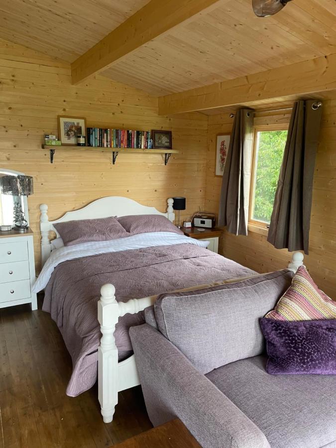 Cosy Cabin In Annie'S Meadow West Meon Exteriér fotografie