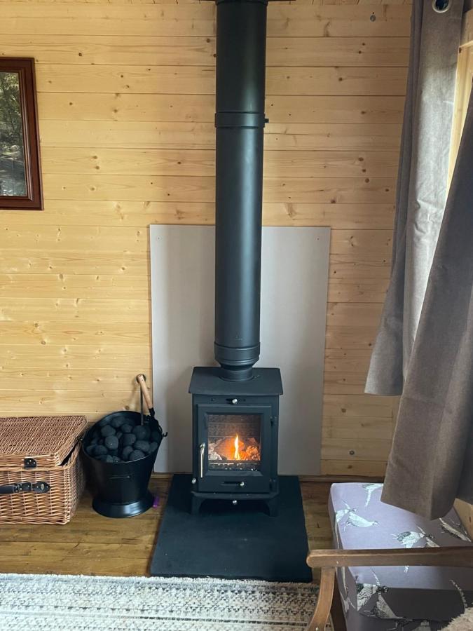 Cosy Cabin In Annie'S Meadow West Meon Exteriér fotografie